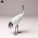 Red-Crowned Crane  1/32 - Only-Games
