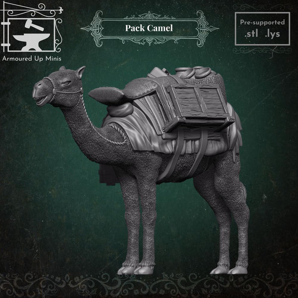 Pack Camel