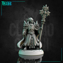 (0255) Male human elf firbolg tiefling half-orc cleric paladin with a magic staf complete armor and cape - Only-Games