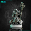 (0255) Male human elf firbolg tiefling half-orc cleric paladin with a magic staf complete armor and cape - Only-Games