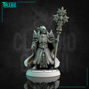 (0255) Male human elf firbolg tiefling half-orc cleric paladin with a magic staf complete armor and cape - Only-Games