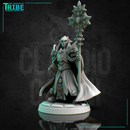 (0255) Male human elf firbolg tiefling half-orc cleric paladin with a magic staf complete armor and cape - Only-Games