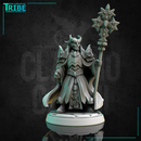 (0255) Male human elf firbolg tiefling half-orc cleric paladin with a magic staf complete armor and cape - Only-Games