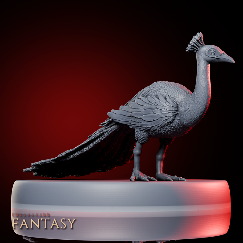 Peacock 1 - Only-Games