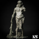 Plague Giant - Only-Games