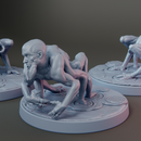 Pig Tick (A) - Children of the Fly Warband - Fly Thrall - Only-Games