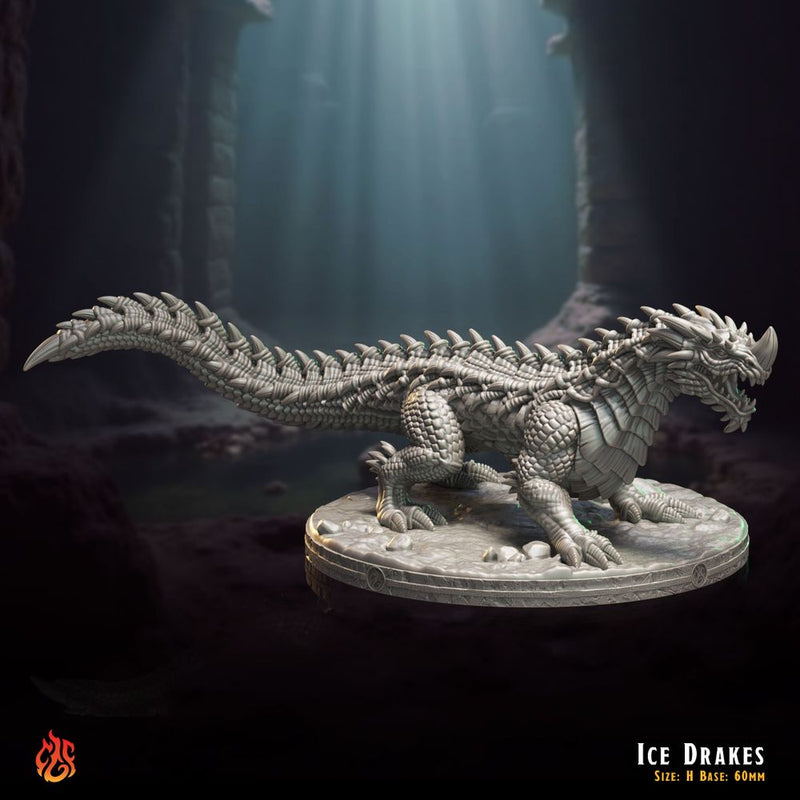 Ice Drakes