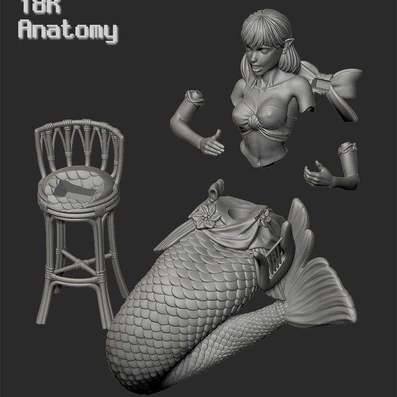 A daily life in fantasy world - Busking Siren - Only-Games