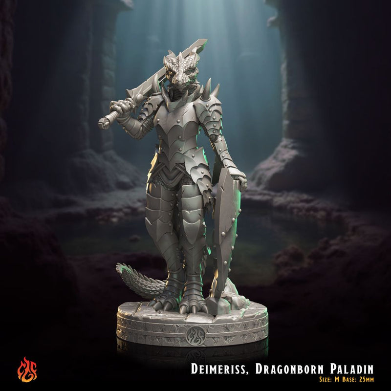 Deimeriss, Dragonborn Paladin