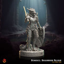 Deimeriss, Dragonborn Paladin