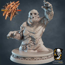 Lemur Set - Only-Games