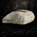 Flour 2 - Fantasy Kitchen Prop STL for DnD & Wargaming Terrain