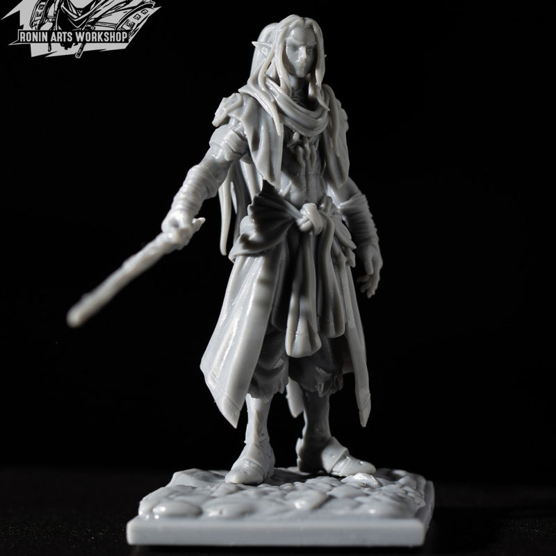 Pirate Bayazid - Elven Corsair - Only-Games