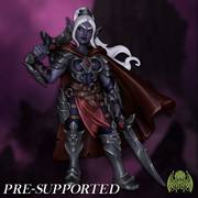 Drizara The Dark Elf Warrior [PRE-SUPPORTED] 32mm Female Dual Wielder Paladin Fighter - Only-Games