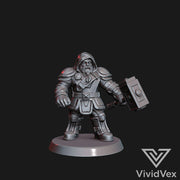 Dwarf Warrior - Only-Games