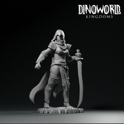 Elf swordmaster - Only-Games