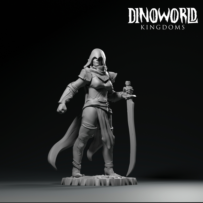 Elf swordmaster - Only-Games