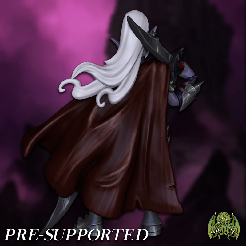 Drizara The Dark Elf Warrior [PRE-SUPPORTED] 32mm Female Dual Wielder Paladin Fighter - Only-Games