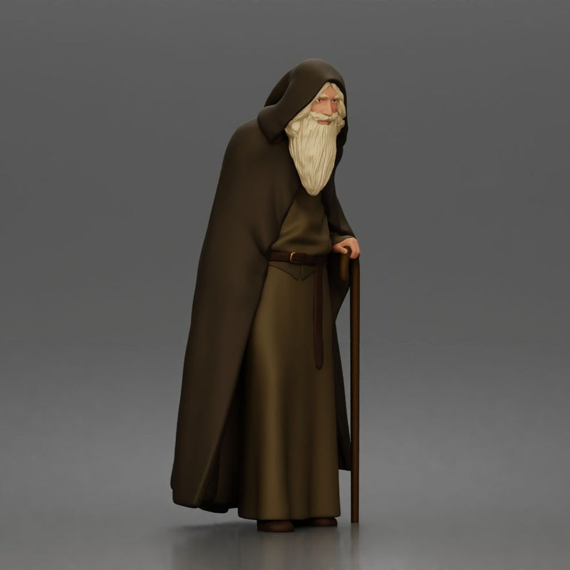 Wandering sage leans on staff wearing hooded cloak and robe - Only-Games