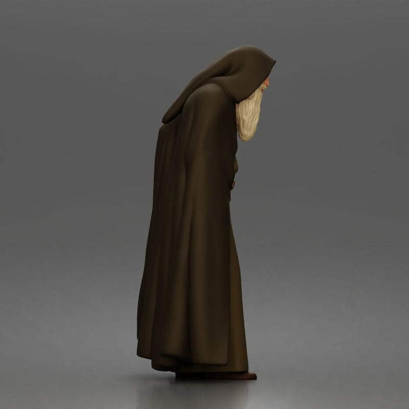 Wandering sage leans on staff wearing hooded cloak and robe - Only-Games