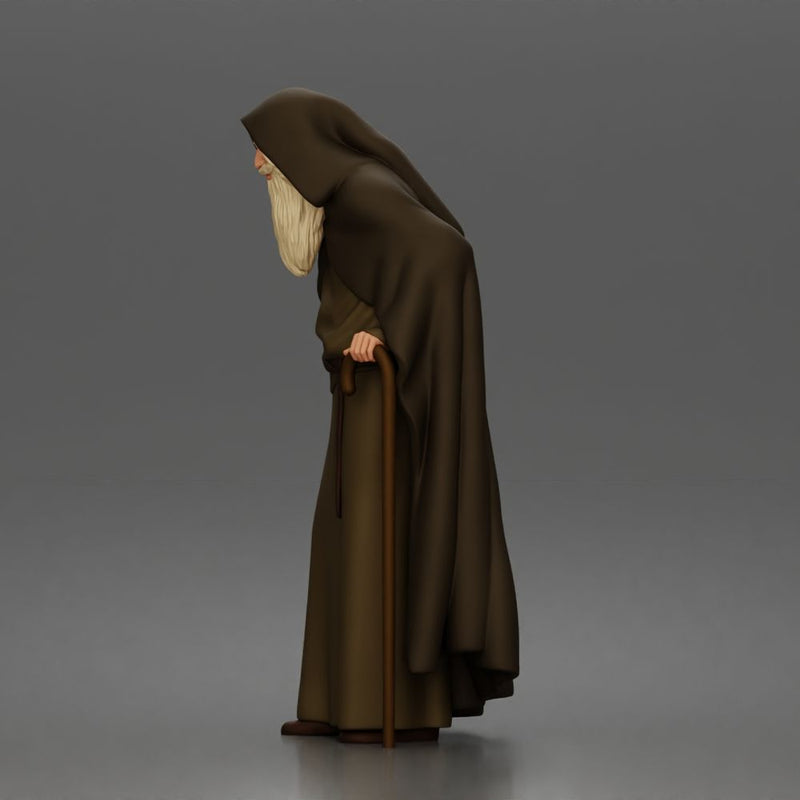 Wandering sage leans on staff wearing hooded cloak and robe - Only-Games