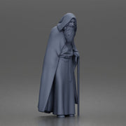 Wandering sage leans on staff wearing hooded cloak and robe - Only-Games