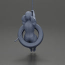 Sexy Girl in onepiece Enjoying a Fun Swinging Adventure on Tire - Only-Games