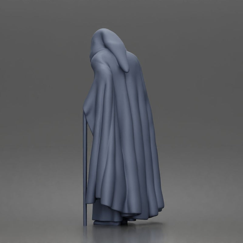 Wandering sage leans on staff wearing hooded cloak and robe - Only-Games