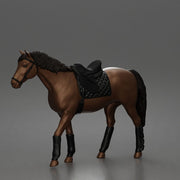 Cowgirl with hat riding calmly on horse enjoying a peaceful countryside journey - Only-Games