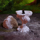 Hidding whimsical tree - Only-Games