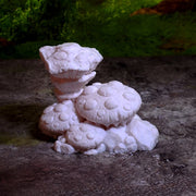 Giant fungus - Only-Games