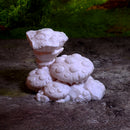 Giant fungus - Only-Games