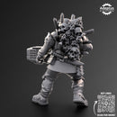 Special weapons. Varrox regiment. Renegades and Heretics