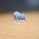 Maks the Giant Rat - Tabletop Miniature (Pre-Supported)