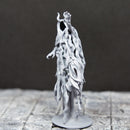 Wrath of the Lich Bundle - Tabletop Miniatures (Pre-Supported)