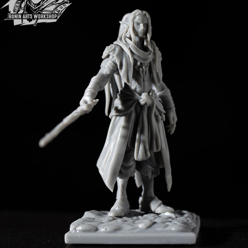 Pirate Bayazid - Elven Corsair - Only-Games