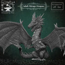 Adult Mirage Dragon - Only-Games