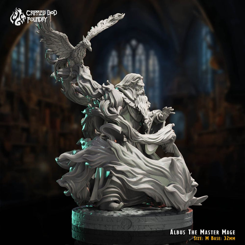 Albus The Master Mage