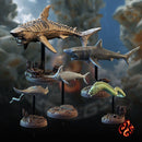 Aquatic Creatures