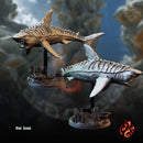 Aquatic Creatures