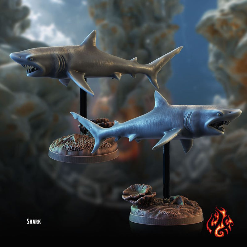 Aquatic Creatures