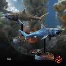 Aquatic Creatures