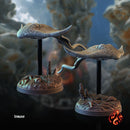 Aquatic Creatures