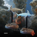 Aquatic Creatures