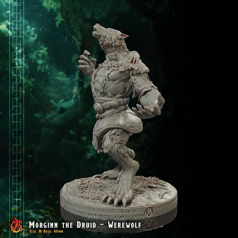 Morginn the Druid, Werewolf