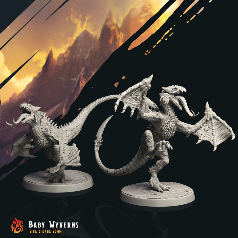 Baby Wyverns