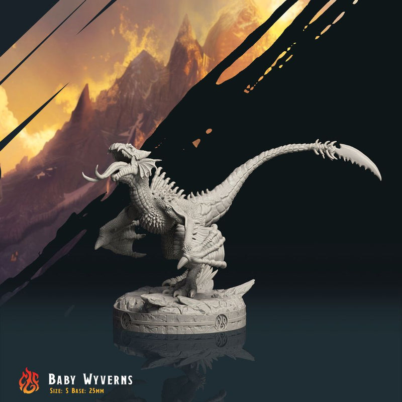 Baby Wyverns