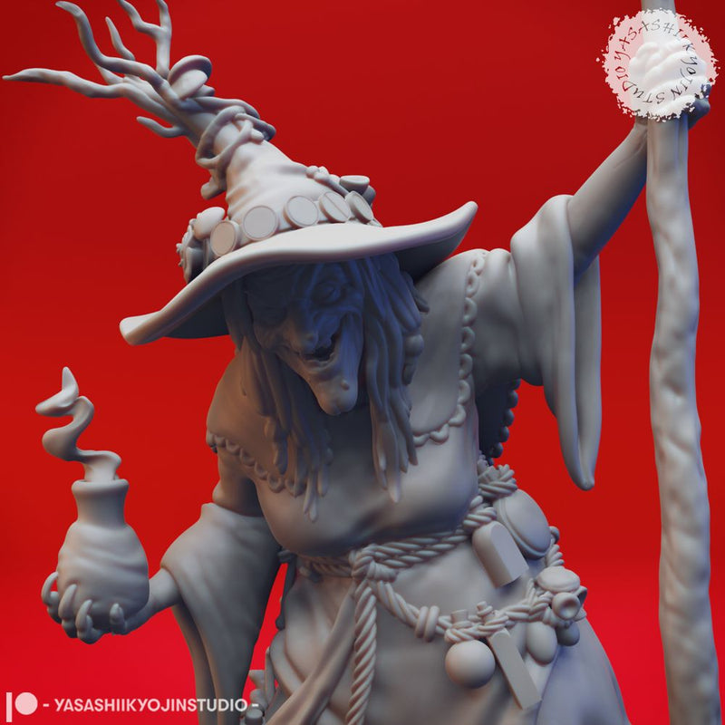 Barovian Witch - Tabletop Miniature (Pre-Supported) - Only-Games