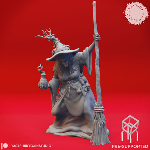 Barovian Witch - Tabletop Miniature (Pre-Supported) - Only-Games