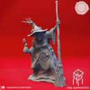 Barovian Witches - Tabletop Miniatures (Pre-Supported)
